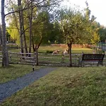 Planinska Kuca Dasovic Dağ evi *