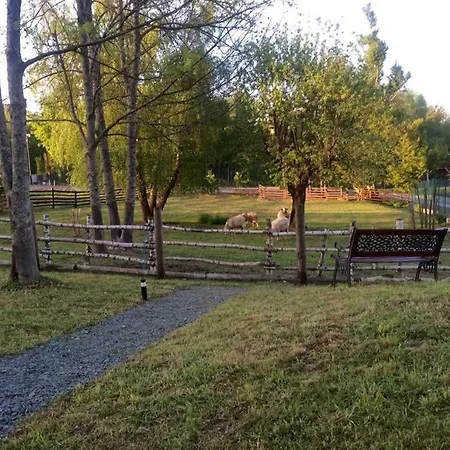 Planinska Kuca Dasovic Chalet *