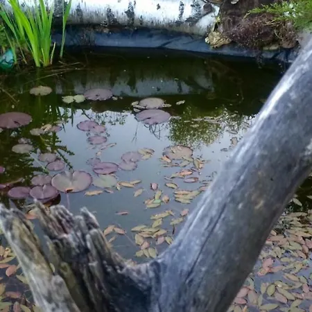 Alpstuga Planinska Kuca Dasovic