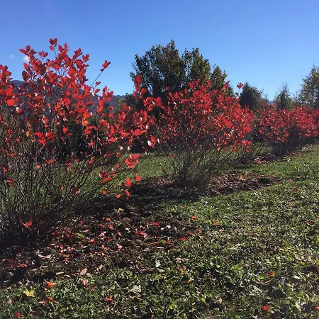 Planinska Kuca Dasovic *