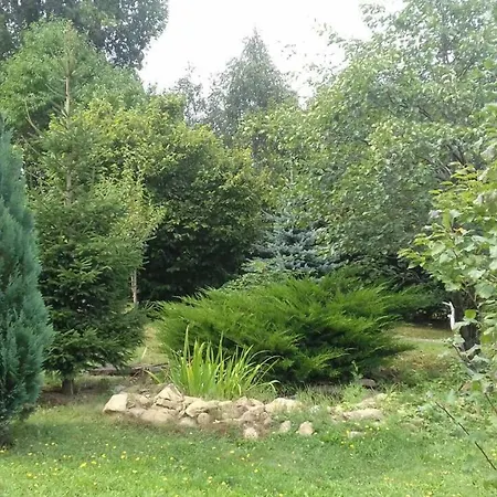 Planinska Kuca Dasovic * Fužine