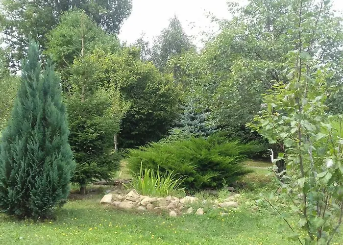 Planinska Kuca Dasovic * Fužine